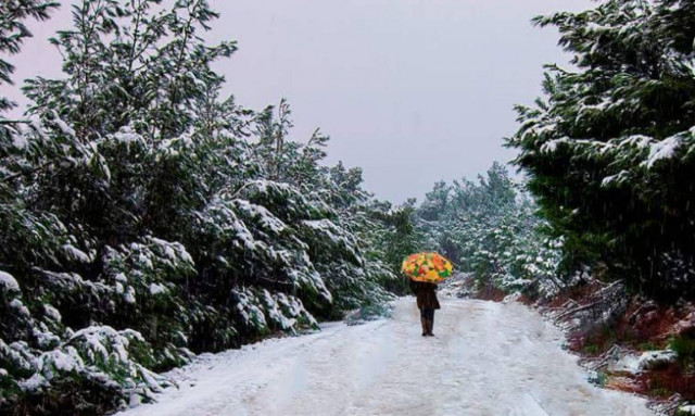 Καιρός: Πυκνό χιόνι στη Χίο