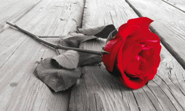 Στο πένθος η Ρόδος: Θρήνος για τον χαμό 22χρονου