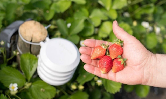 Έξυπνη γεωργία από την Bosch στην Agrotica 2018