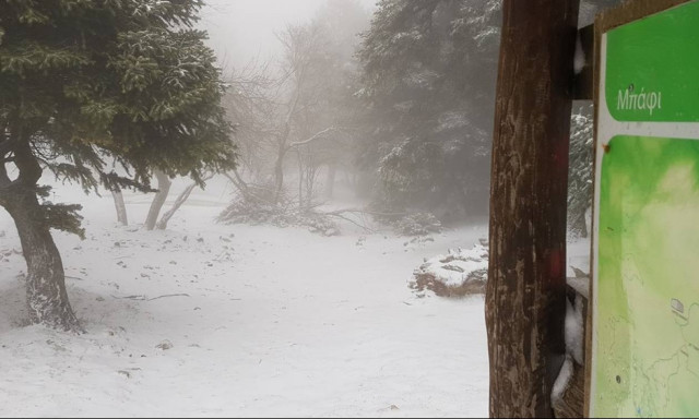 Καιρός LIVE: Το… έστρωσε στην Πάρνηθα - Δε φαντάζεστε πόσο έδειξε το θερμόμετρο! (pics+vid)
