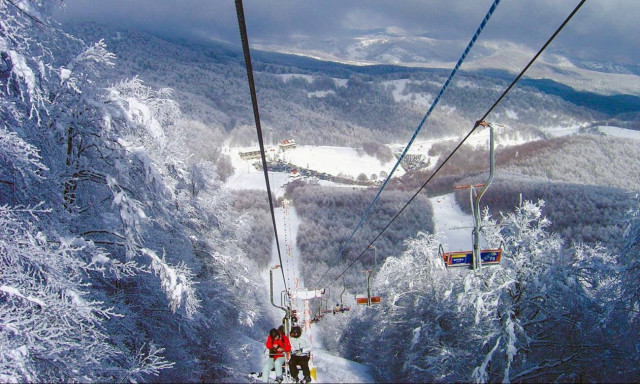 Skier, 22, fatally injured in collision with tree