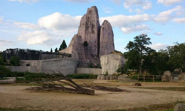 Πανικός σε ζωολογικό κήπο στη Γαλλία: Δραπέτευσαν τουλάχιστον πενήντα μπαμπουίνοι