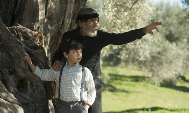 Η Creta Farms Δοξάζει το Ελαιόλαδο με έναν Ύμνο στις Ρίζες Όλων Μας