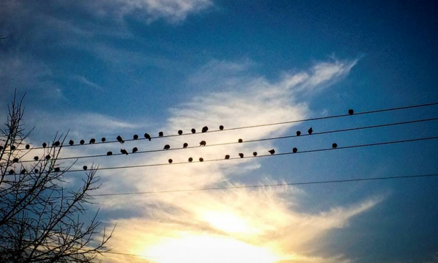 Καιρός: «Μυρίζει» άνοιξη σήμερα Κυριακή - Δείτε μέχρι πού θα φτάσει η θερμοκρασία