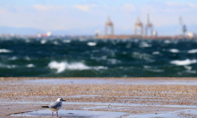 Κρήτη: Πήγαν χειμωνιάτικα σε παραλία – Αυτό που είδαν τους προκάλεσε σοκ (pics)
