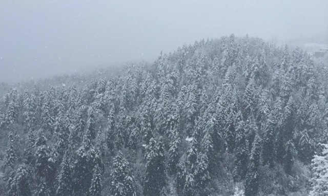 Προσοχή! Αλλάζει ο καιρός: Έρχεται νέα ψυχρή εισβολή – Πού και πότε θα «χτυπήσει» η κακοκαιρία