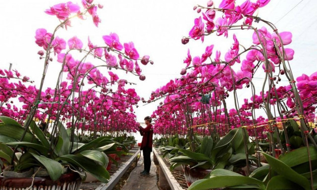 Στην Κίνα γιόρτασαν τον ερχομό της άνοιξης με παραδοσιακές στολές και πυροτεχνήματα (pics)