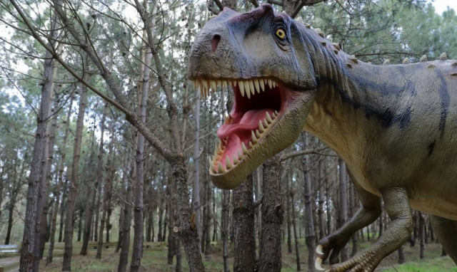 Οι δεινόσαυροι περπατούν στην... Πορτογαλία (pics)