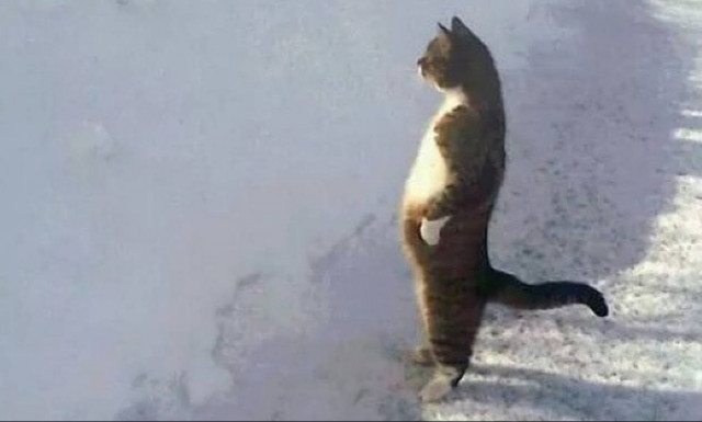 Viral: Εσείς μπορείτε να δείτε αυτό το βίντεο χωρίς να γελάσετε;