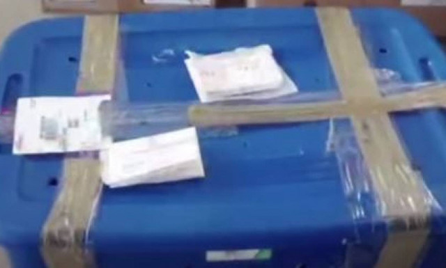 Δεν πίστευαν στα μάτια τους! Επιχείρησαν να στείλουν ένα τιγράκι με το ταχυδρομείο (vid)