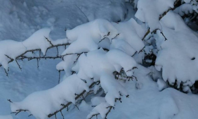 Σαρώνει η κακοκαιρία: Κλειστά τα σχολεία σε Ευρυτανία αλλά και Δομοκό - Πού χρειάζονται αλυσίδες