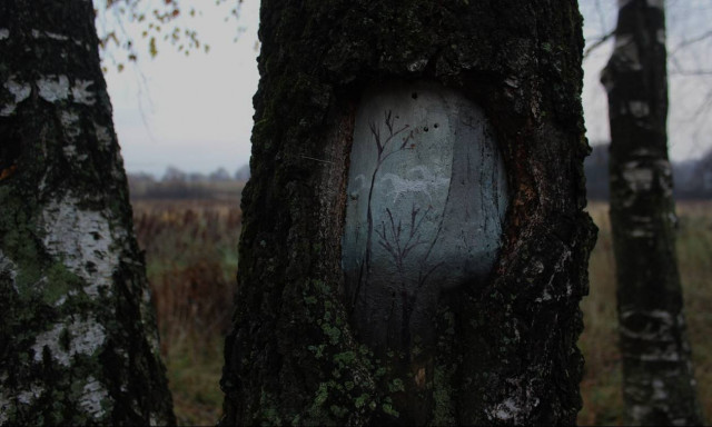 Viral: Η τέχνη της διευρυμένης πραγματικότητας πάνω σε δέντρα (Pics)