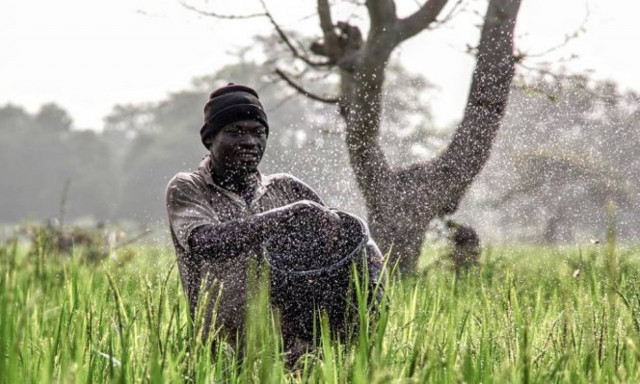 Οι νικήτριες φωτογραφίες του National Geographic για το 2017 (pics)