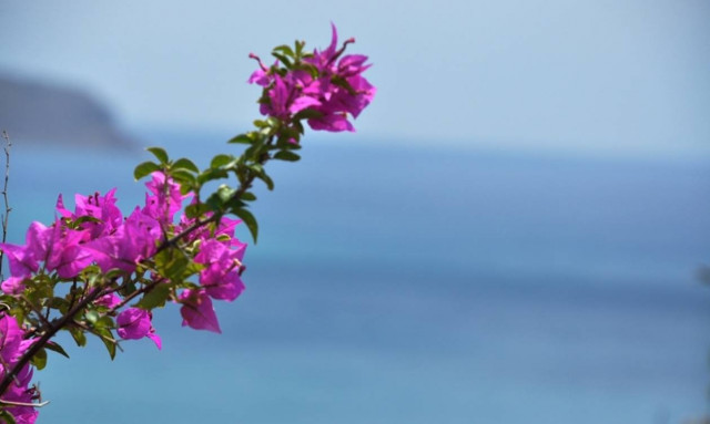 Καιρός - Η προειδοποίηση των επιστημόνων για την Άνοιξη που αλλάζει τα ΠΑΝΤΑ