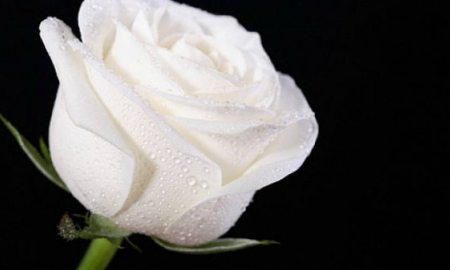 Πέθανε γνωστός ηθοποιός