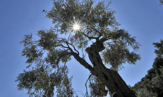 Καιρός: Από Μάρτη… καλοκαίρι! Στους 22 βαθμούς ο υδράργυρος την Τετάρτη