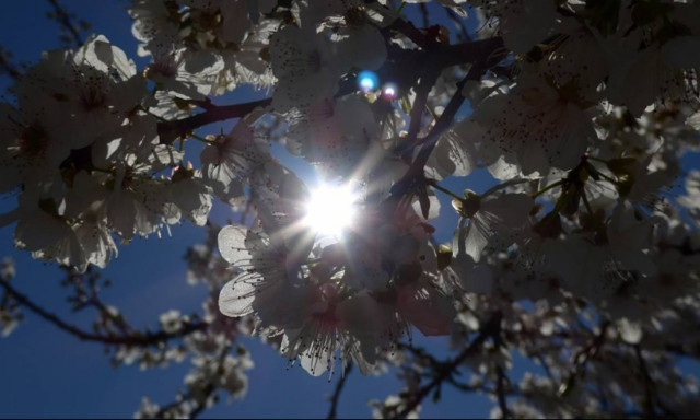 Ελληνική Δερματολογική Εταιρεία: Οι εναλλαγές των εποχών και το γυναικείο δέρμα