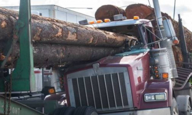 Άγιο είχε! Κορμοί δέντρων διαπέρασαν το παρμπρίζ και ο οδηγός βγήκε… χωρίς γρατζουνιά! (vid)