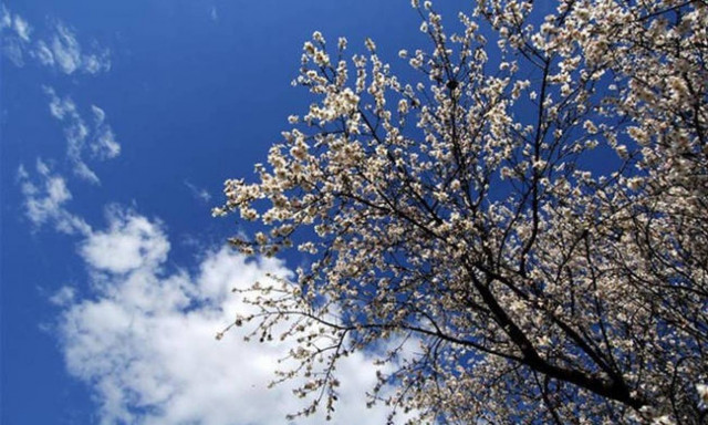 Weather forecast: Mostly sunny on Sunday (11/03/2018)