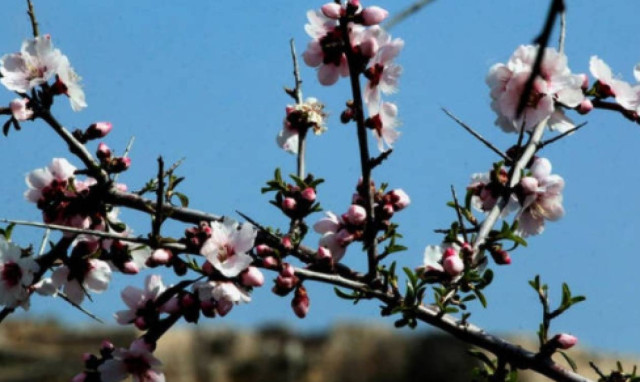 Weather forecast: Mostly fair on Thursday