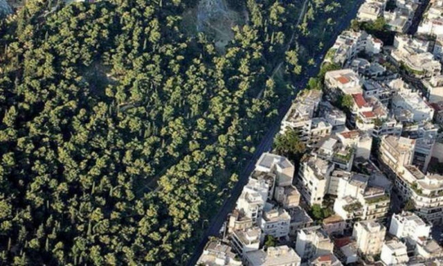 Νέες διευκρινήσεις για τους Δασικούς Χάρτες από τον ΟΠΕΚΕΠΕ