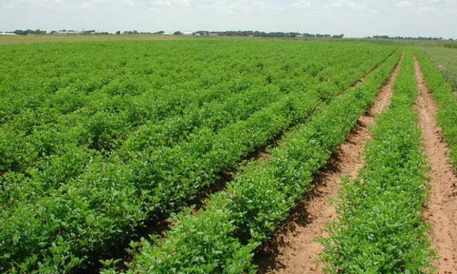 Σήμερα (15/3) ξεκινούν οι αιτήσεις για ένταξη στο Πρόγραμμα Νέων Αγροτών