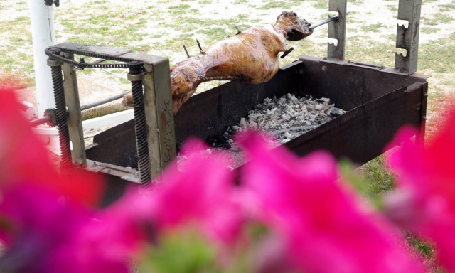 Πάσχα 2018: Πού θα κυμανθεί η τιμή του αρνιού - Τι πρέπει να προσέξετε κατά την αγορά του