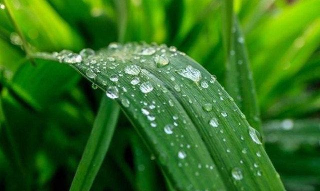 Πώς μπορούμε να ενισχύσουμε την περιβαλλοντική συνείδηση και ευαισθητοποίηση