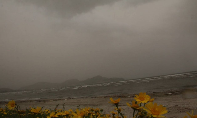 Έκτακτο δελτίο ΕΜΥ: Νέο κύμα σκόνης θα «πνίξει» τη χώρα - Πού θα σημειωθούν λασποβροχές (pics)