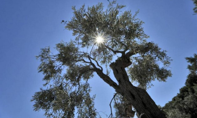 Ανοιξιάτικο το σκηνικό του καιρού την Παρασκευή (30/3) - Αναλυτική πρόγνωση