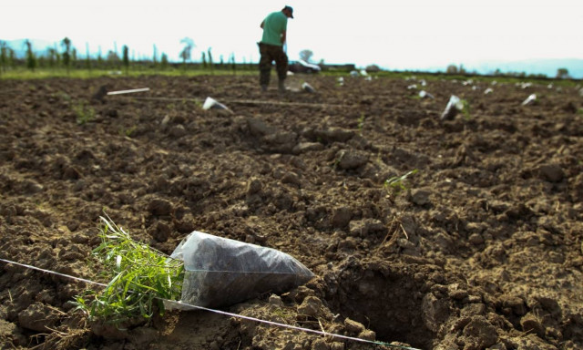 ΟΠΕΚΕΠΕ: Πότε λήγει η προθεσμία υποβολής αιτήσεων για την εξισωτική αποζημίωση