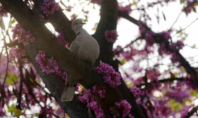 Ο καιρός σήμερα, Μεγάλο Σάββατο