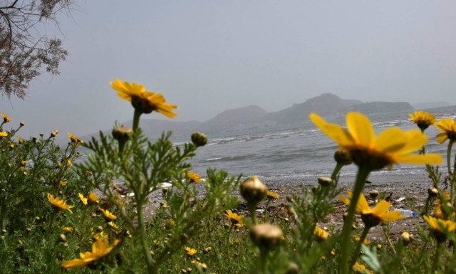 Καιρός - H EMY προειδοποιεί: Έρχεται «μίνι» καλοκαίρι – Απίστευτο πόσο θα φτάσει η θερμοκρασία