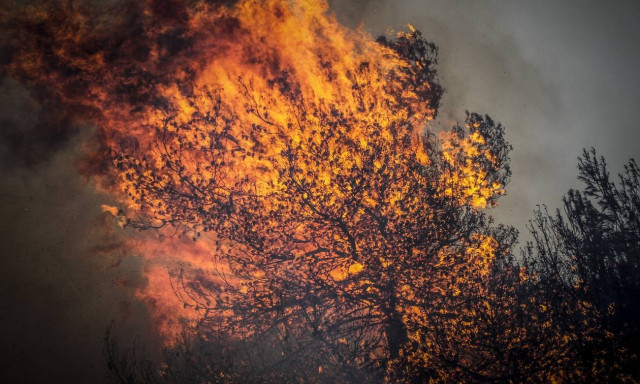 Large number of firefighters battling the blaze in Ilia