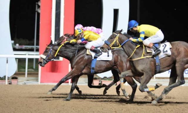 «Καταπέλτης» η Ένωση Ιδιοκτητών Δρομώνων Ίππων Ελλάδος κατά της Φιλίππου Ενώσεως Ελλάδος