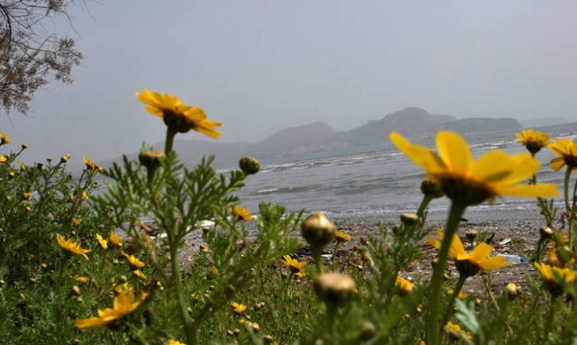 Weather forecast: Mostly fair on Saturday (21/04/2018)