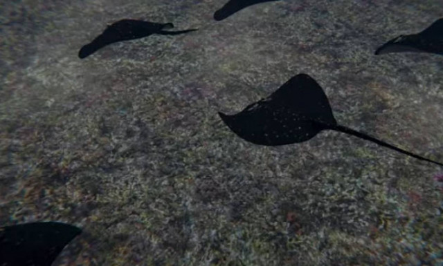 Τρόμος από το νέο μυστικό υπερόπλο της Τουρκίας: Φονικό... σαλάχι αλλάζει τις ισορροπίες στο Αιγαίο!