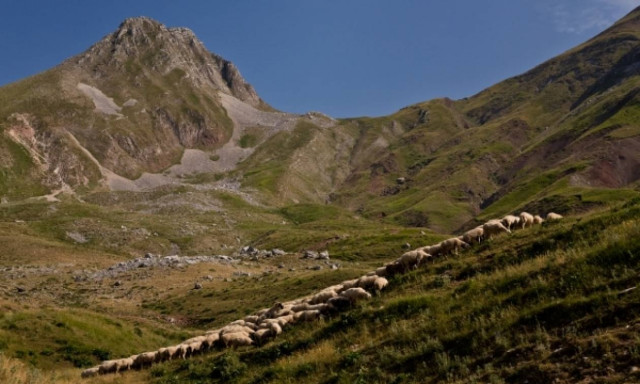 Αλήθεια, εσείς γνωρίζετε τον «δρόμο» των τροφών που καταναλώνετε;