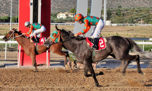 Εφτά ιπποδρομίες σήμερα στο Μαρκόπουλo - Ξεχωρίζει το σπριντ των 1.100 μέτρων