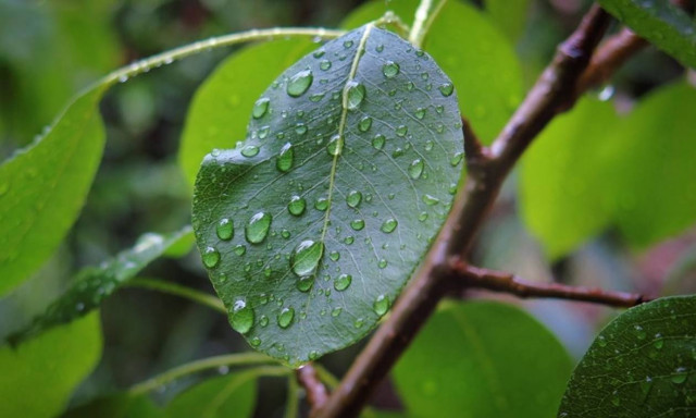 Καιρός: Προσοχή! Η ΕΜΥ προειδοποιεί - Αλλάζει το σκηνικό σε λίγες ώρες