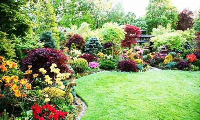 Κιλκίς: Απίστευτο! Κανείς δεν μπορούσε να φανταστεί τι έκρυβε στον κήπο του