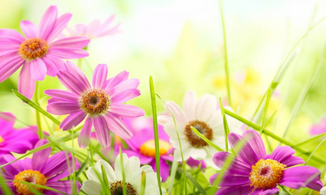 Ημερήσιες Προβλέψεις για όλα τα Ζώδια 11/5