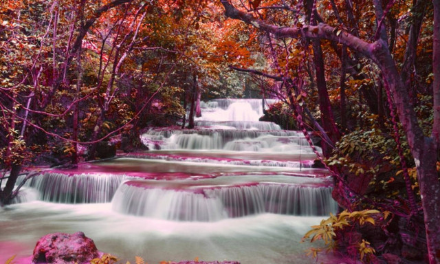 Ημερήσιες Προβλέψεις για όλα τα Ζώδια 16/5
