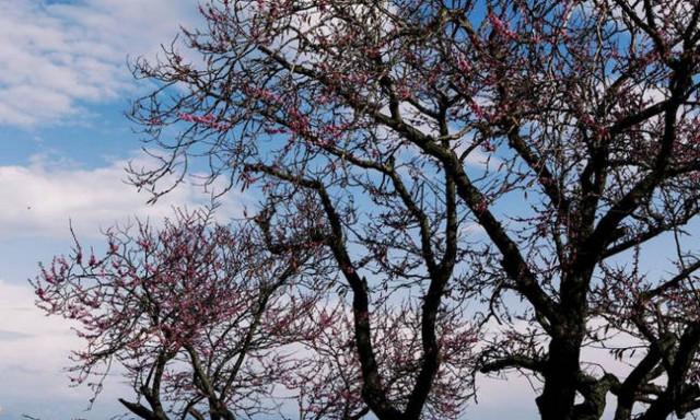 Weather forecast: Partly cloudy on Sunday (20/05/2018)