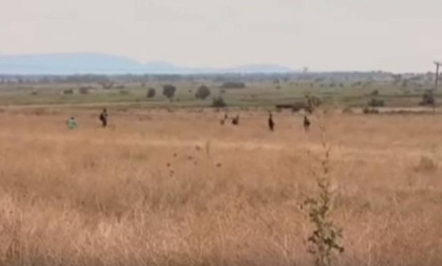 Βίντεο - οδοιπορικό στον Έβρο: Αναζητώντας τα προσφυγικά περάσματα