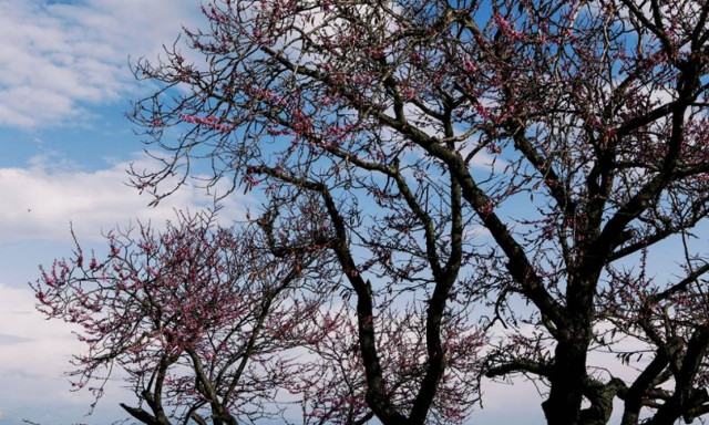 Καιρός – Η ΕΜΥ προειδοποιεί: Σε αυτές τις περιοχές ο υδράργυρος θα ξεπεράσει τους 30 βαθμούς Κελσίου