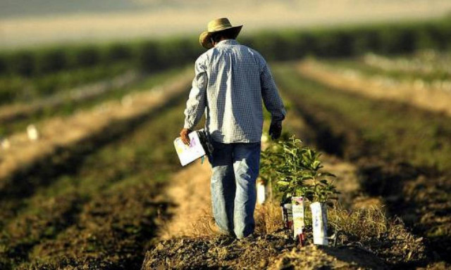 ΕΛΓΑ: Αποζημιώσεις 5,5 εκατ. ευρώ περίπου θα πληρώσει στους δικαιούχους