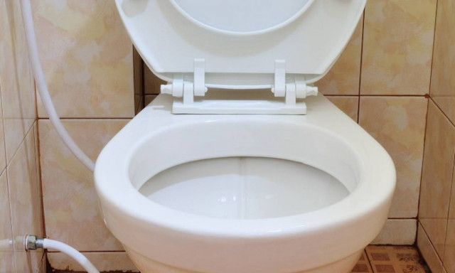 Βάζει χαρτί υγείας στη λεκάνη σε δημόσιες τουαλέτες; Σωστό ή λάθος; (video)