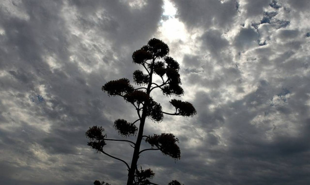 Καιρός: Άστατος ο καιρός το τριήμερο του Αγίου Πνεύματος