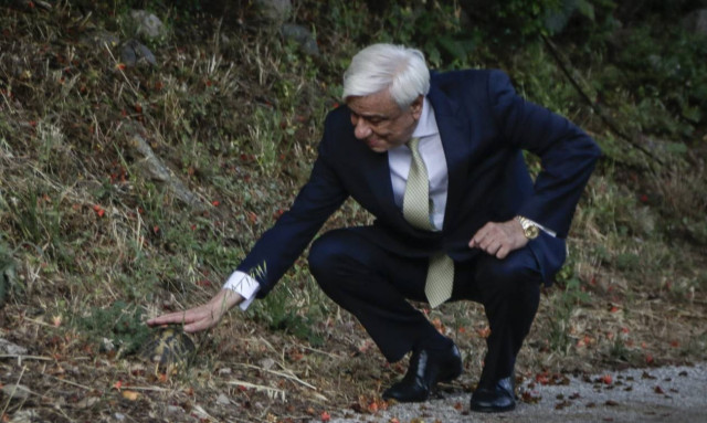 Προκόπης Παυλόπουλος: Θυμήθηκε τα παιδικά του χρόνια - Τα κορόμηλα και η χελώνα (vid)